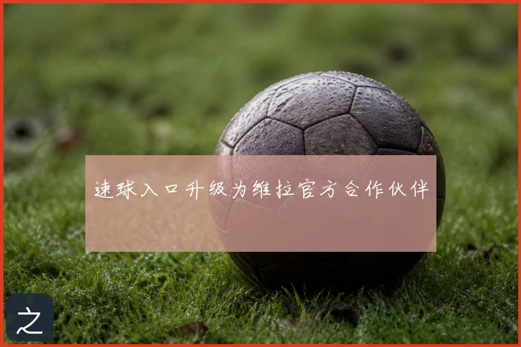 速球入口升级为维拉官方合作伙伴